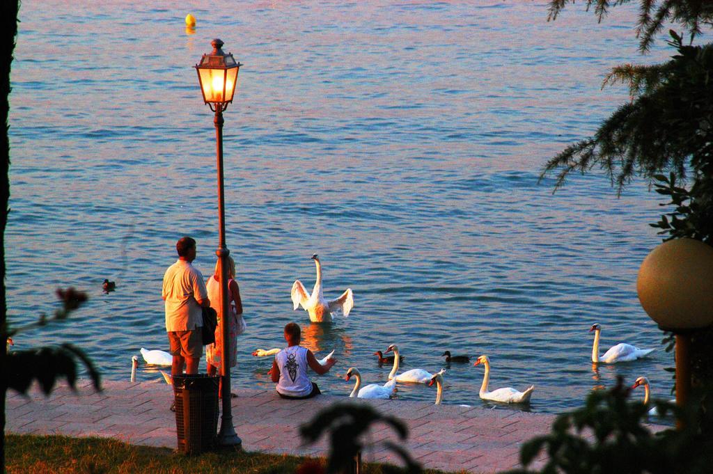 Camping Bella Italia Peschiera del Garda Ngoại thất bức ảnh